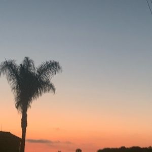 Meet your Posher, Avery